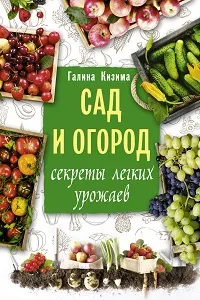 Обрезка винограда летом: что нужно знать для лучшего урожая