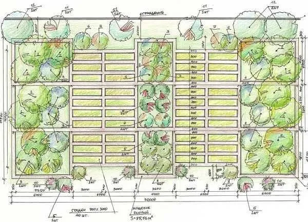 Планировка расположения грядок: только на солнце