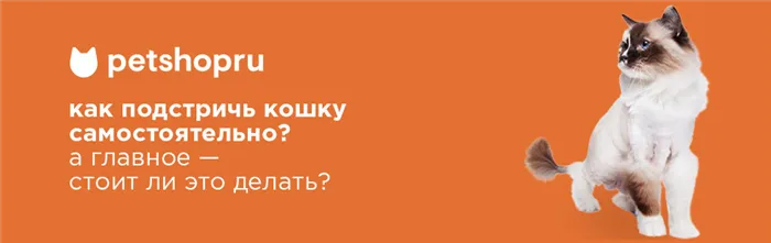 Как подстричь кошку в домашних условиях