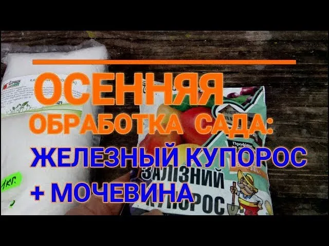 Схема осенней обработки сада с помощью мочевины и железного купороса