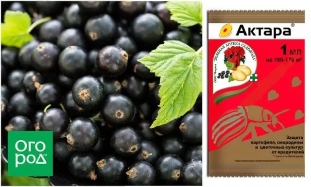 Актара