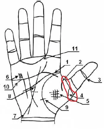 Какие знаки на руках сулят богатство