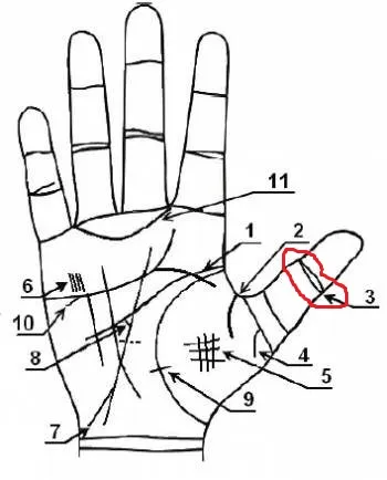 Какие знаки на руках сулят богатство