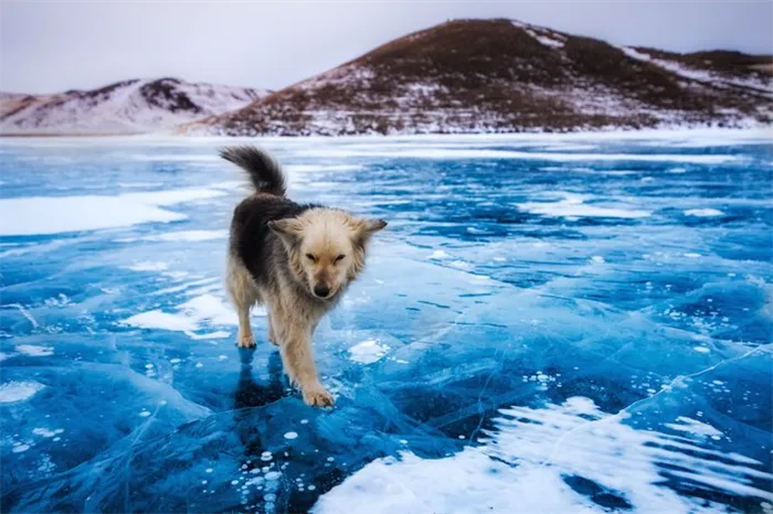 Фото: Алексей Юницын / фотохостинг rtraveler.ru