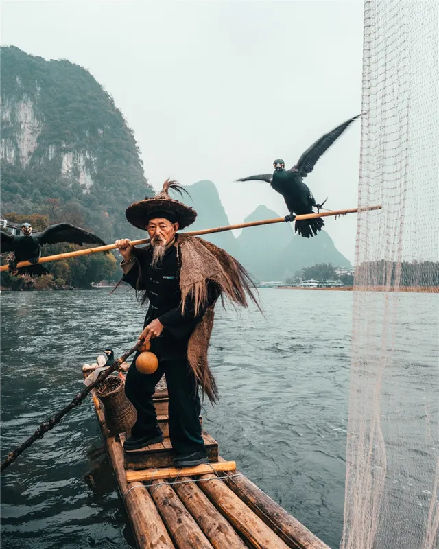 Китайская рыбалка с бакланами - древняя традиция в фотографии Peter Yan - Photar.ru