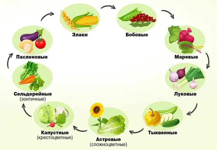 Как правильно чередовать растения