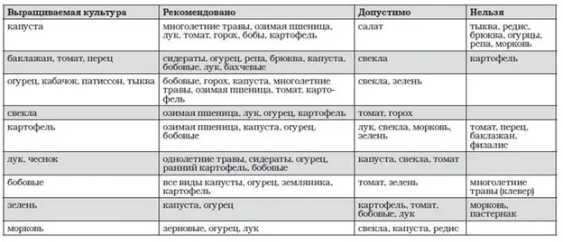 Севооборот в таблицах: что и после чего можно сажать