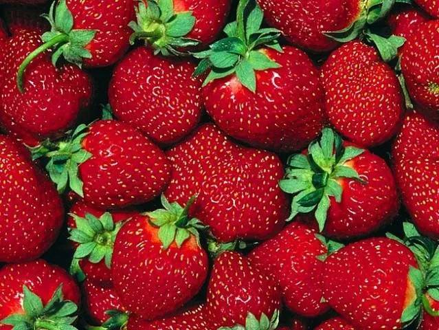 Ремонтантная клубника: уход и подкормка после первого сбора урожая