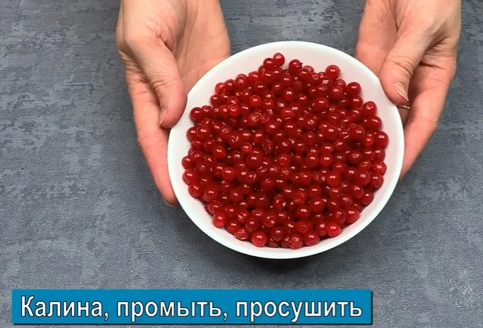 Калина на зиму (лучшие рецепты приготовления заготовок)