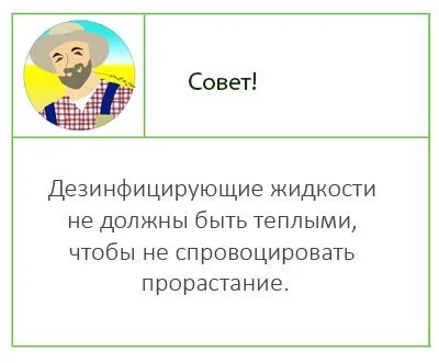 Совет по обработке чеснока