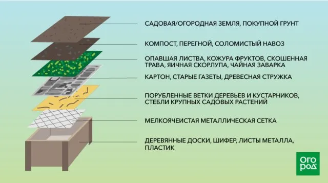 посадить косточки фиников