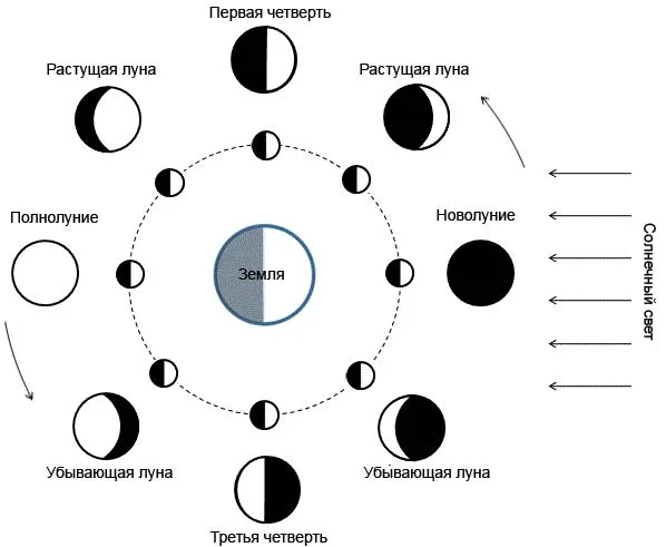 Положение луны в разные фазы