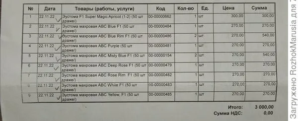 Выращиваем эустому – полная технология: от рассады до высадки в грунт